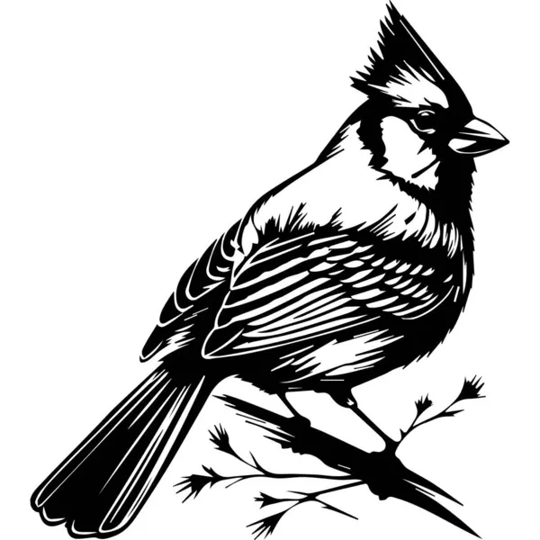 Pássaro Cardeal Sentado Ramo — Vetor de Stock