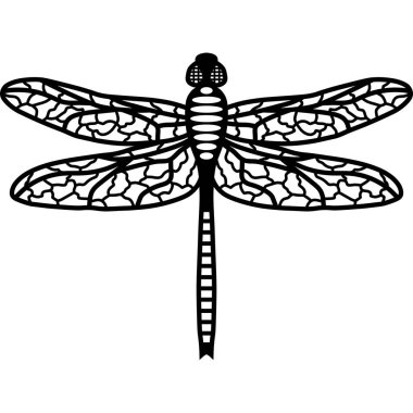 Geniş Kanatlı Yusufçuk Böceği