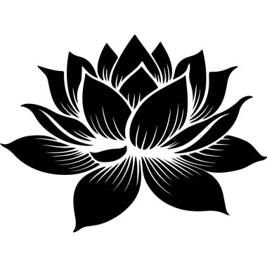 Nilüfer çiçeği Asya Su Çiçeği