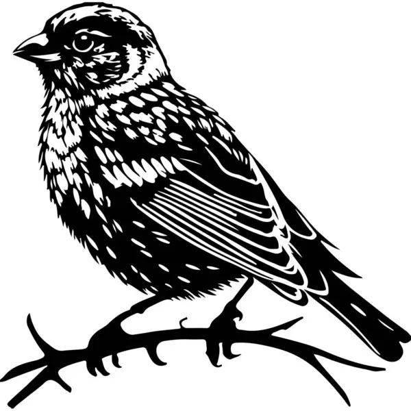 Птица Сидящая Ветке — стоковый вектор