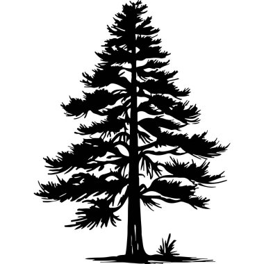 Single Lone Pine Tree Forest clipart