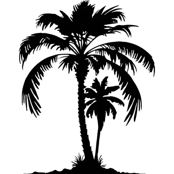 Trópusi Pálmafák Fűvel — Stock Vector
