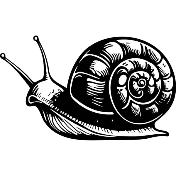 Snail Shell Slug Animal Yang Realistis - Stok Vektor