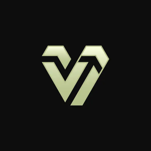 Fantasia Elegante Moderna Letra Seta Direção Logotipo — Vetor de Stock