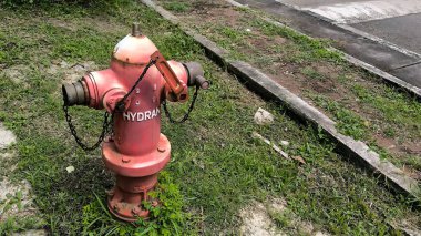 Acil Su Tedariği İçin Çimenli Yol kenarında Kırpılmış Kırmızı Yangın Musluğu