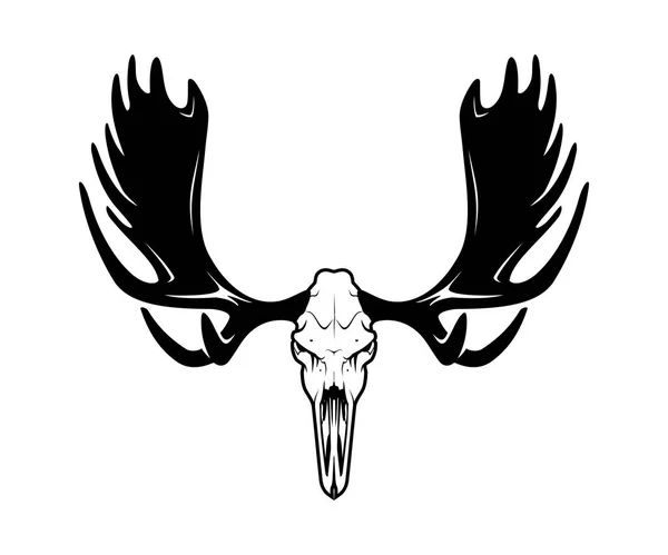 Moose Head Animal Skull Front View Illustration — Stock Vector