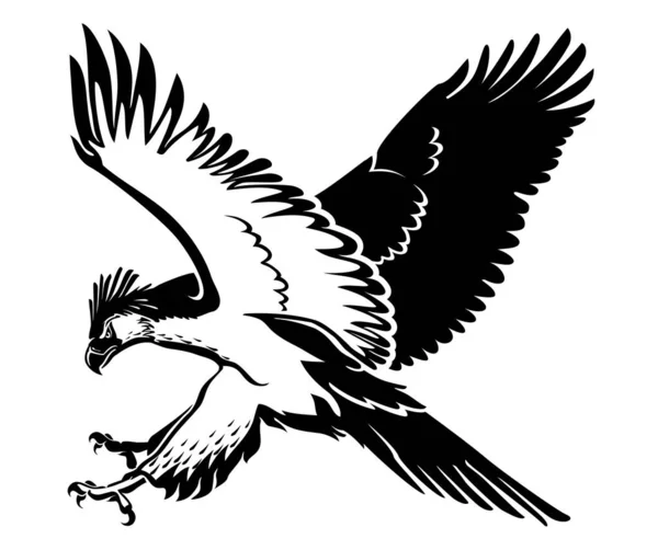 Philippine Eagle Large Endangered Bird — Stock Vector