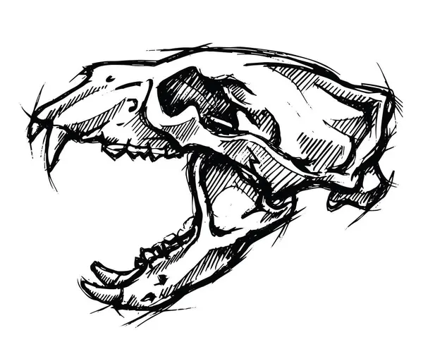 Disegno Del Cranio Dell Orso Polare Salvare Estinzione Degli Animali — Vettoriale Stock