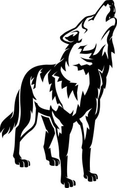 Kurt uluyan gölge, vahşi etobur hayvan