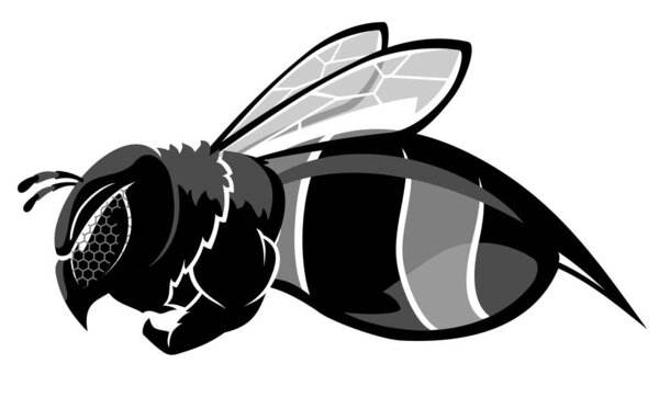 Bee Flying Side View