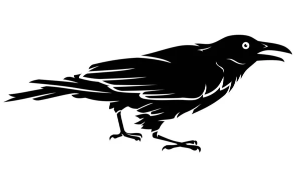 Zwarte Crow Zijaanzicht — Stockvector