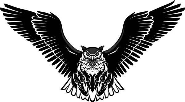 Flying Owl Wide Wingspan Royalty Free Stock Illustrations