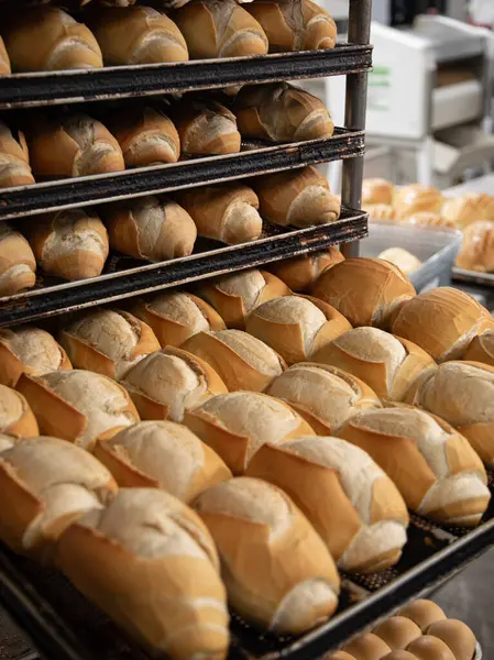 बेकरीच्या आत उत्पादनात फ्रेंच ब्रेड स्टॉक इमेज