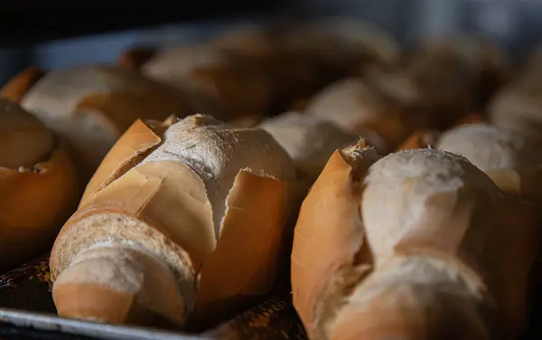 बेकरीच्या आत उत्पादनात फ्रेंच ब्रेड विना-रॉयल्टी स्टॉक इमेज