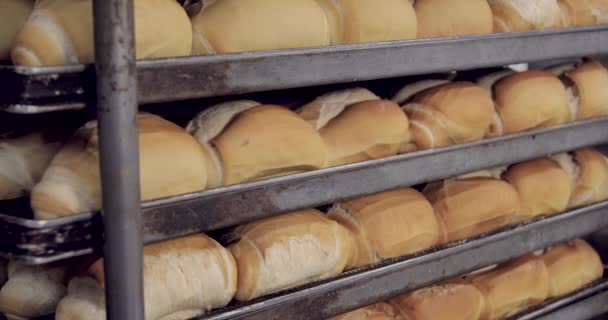 Французский Хлеб Производстве Внутри Пекарни — стоковое видео