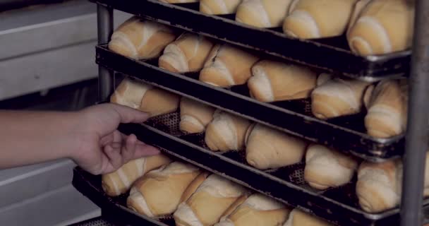 パン屋内で生産されるフランスパン — ストック動画