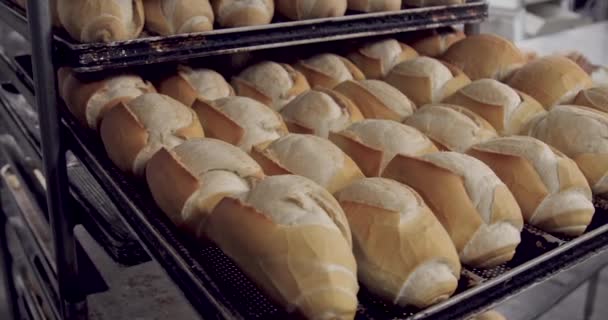 Francouzský Chléb Výrobě Uvnitř Pekárny — Stock video