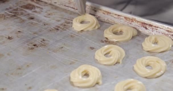 Usine Cookies Industrie Alimentaire Fabrication Production Cookies — Video
