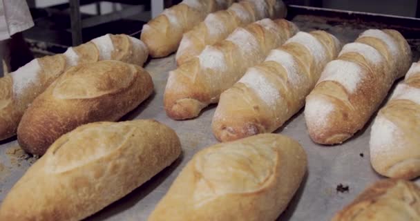 Bröd Produktion Inne Bageriet — Stockvideo