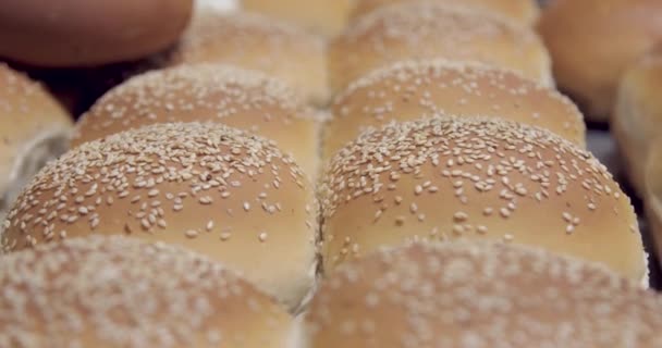 Λεπτομέρειες Ψωμιού Σουσάμι — Αρχείο Βίντεο