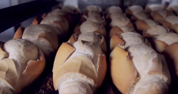 面包店内生产的法国面包 — 图库视频影像