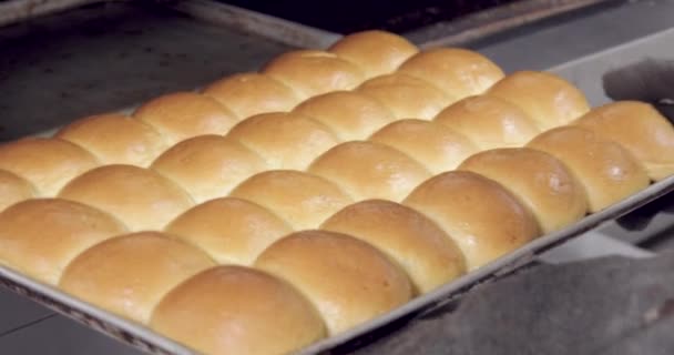 Хліб Виробництві Всередині Пекарні — стокове відео