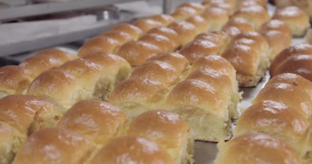 パン屋内での生産のパン — ストック動画