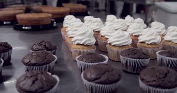 Production Cupcakes Intérieur Boulangerie — Video