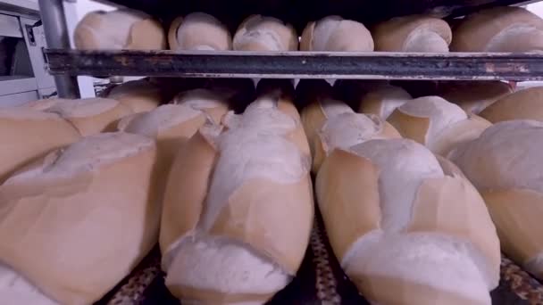Pão Francês Produção Dentro Padaria — Vídeo de Stock