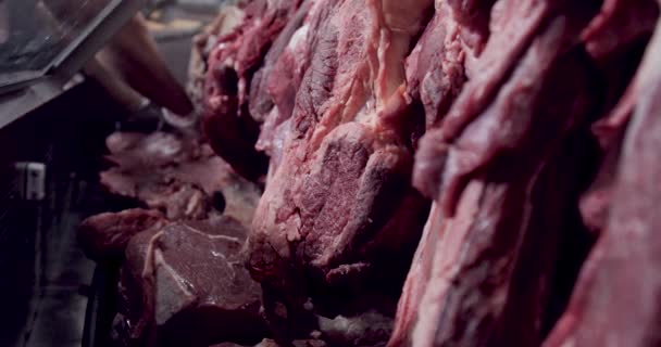 Mięso Wołowe Gablocie Rynku — Wideo stockowe