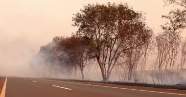 Yol kenarındaki ağaçlar yanıyor.