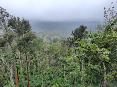 Hindistan, Karnataka 'daki Villa' dan çarpıcı bir manzara..
