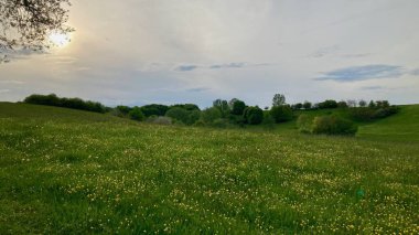 Yaz sonunda akşam havası.