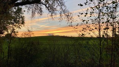 Yeşil tarlaları ve ağaçları olan güzel gün batımı