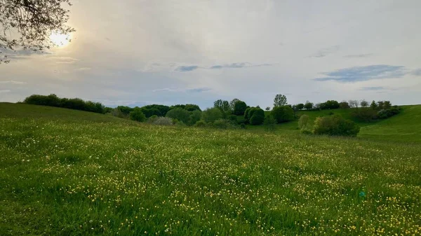 Yaz sonunda akşam havası.