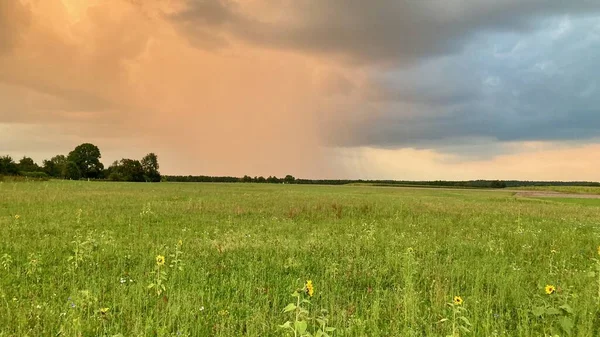 Geniş, yeşil tarlalı kırmızı gökyüzü