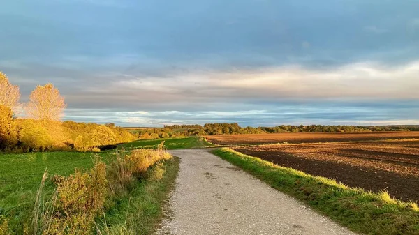 Kırsal kesimde renkli bir manzara