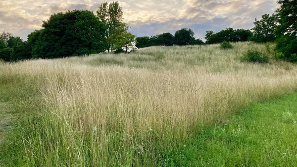 Doğanın güzel manzarası