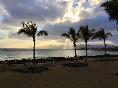 Lanzarote adasında gün batımında etkileyici bulutlar ve palmiye ağaçları.