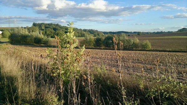 Sonbaharda güzel bir kır manzarası.