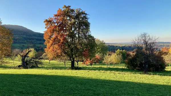 Swabian Alblerinde sonbaharda muhteşem renkler