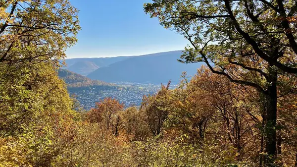 Swabian Alb 'inde ağaçlar ve yapraklarla dolu güzel sonbahar manzarası