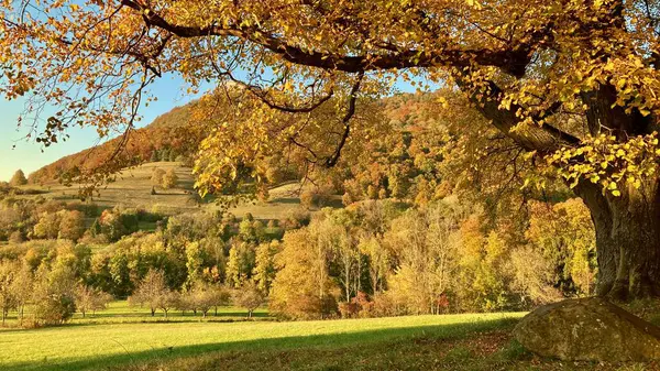 Swabian Alb 'inde güneşli sonbahar manzarası