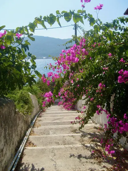 Samos adasının güzel manzarası 
