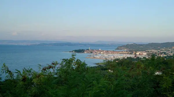 Slovenya 'nın Izola liman kasabasının manzarası
