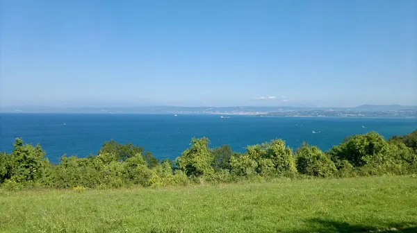 Slovenya 'da açık mavi gökyüzü altında yeşil bir alan manzarası