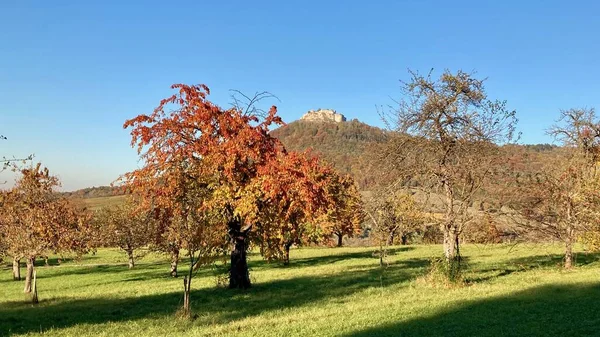 Arkasında Hohenneuffen kalesi olan renkli sonbahar manzarası