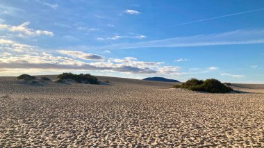 Akşamüstü Fuerteventura 'nın kuzeyinde, beyaz kumullar ve büyük mavi gökyüzü.