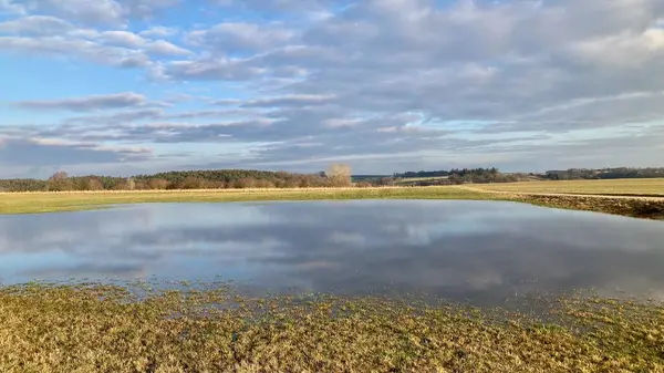 Şiddetli yağmurdan sonra su basmış alan