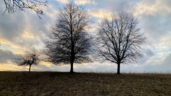 Doğa kış mevsiminin sonunda dinleniyor.